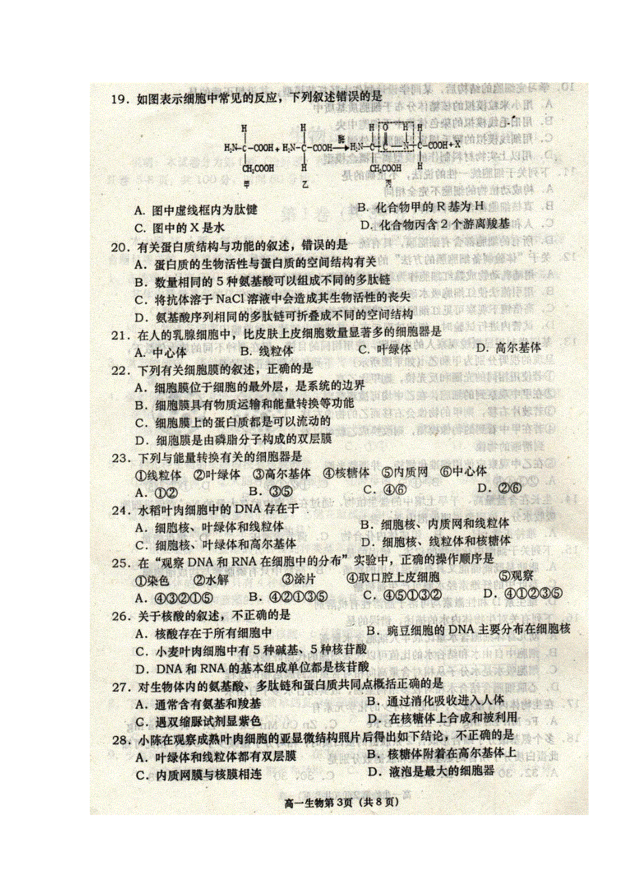 山东省胶州市2017-2018学年高一上学期期中考试生物试题 扫描版缺答案.doc_第3页