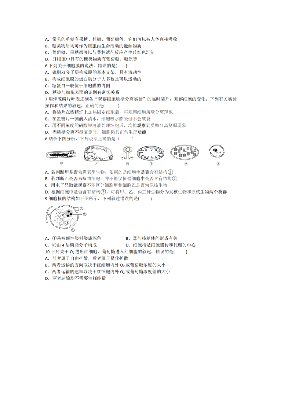 黑龙江省大庆市铁人中学2020-2021学年高一下学期开学验收考试生物试题 PDF版含答案.pdf_第2页