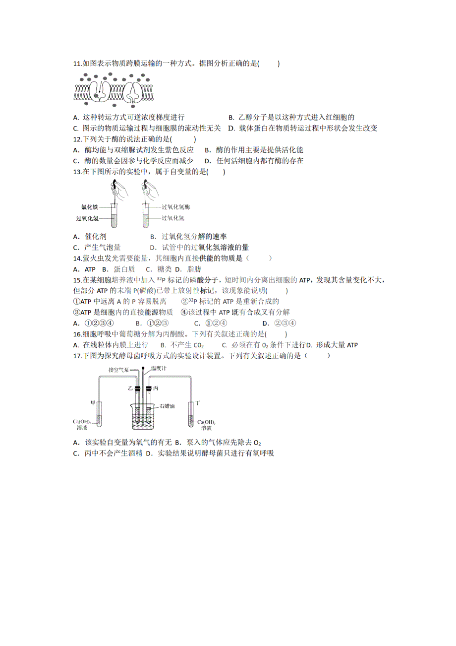 黑龙江省大庆市铁人中学2020-2021学年高一下学期开学验收考试生物试题 PDF版含答案.pdf_第3页