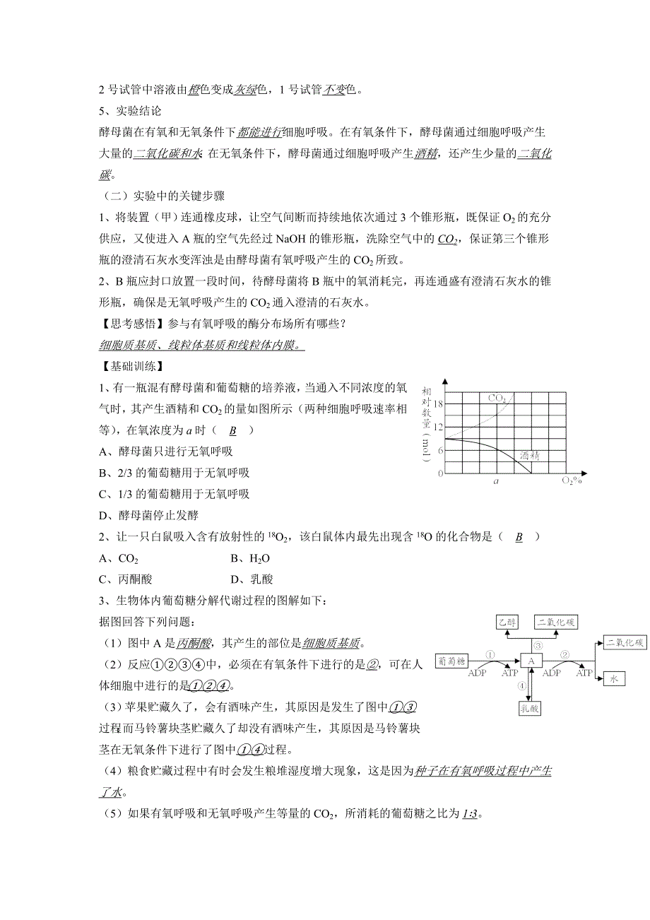 2012高三生物二轮复习学案：课题21细胞呼吸.doc_第2页