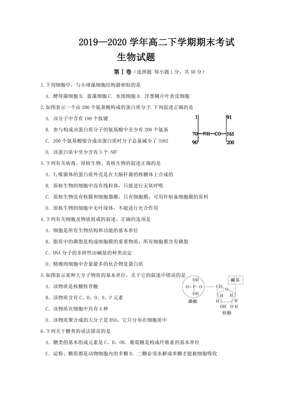 吉林省白城市通榆县第一中学2019-2020学年高二下学期期末考试生物试题 WORD版含答案.doc_第1页