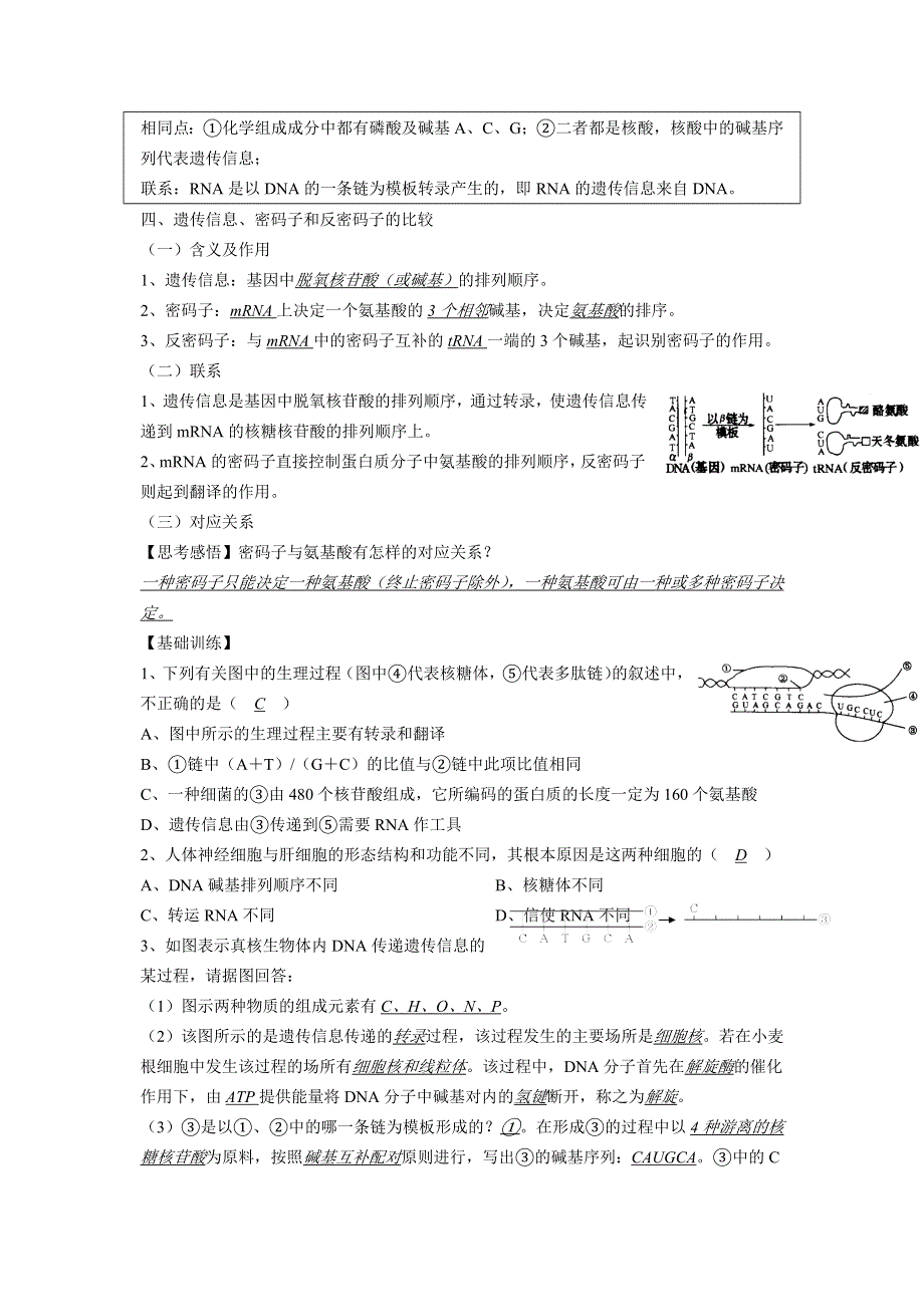 2012高三生物二轮复习学案：课题49基因的表达.doc_第2页