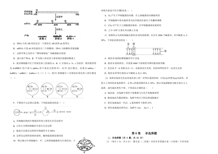 天津市第三中学2021届高三上学期12月月考生物试题 WORD版含答案.doc_第2页