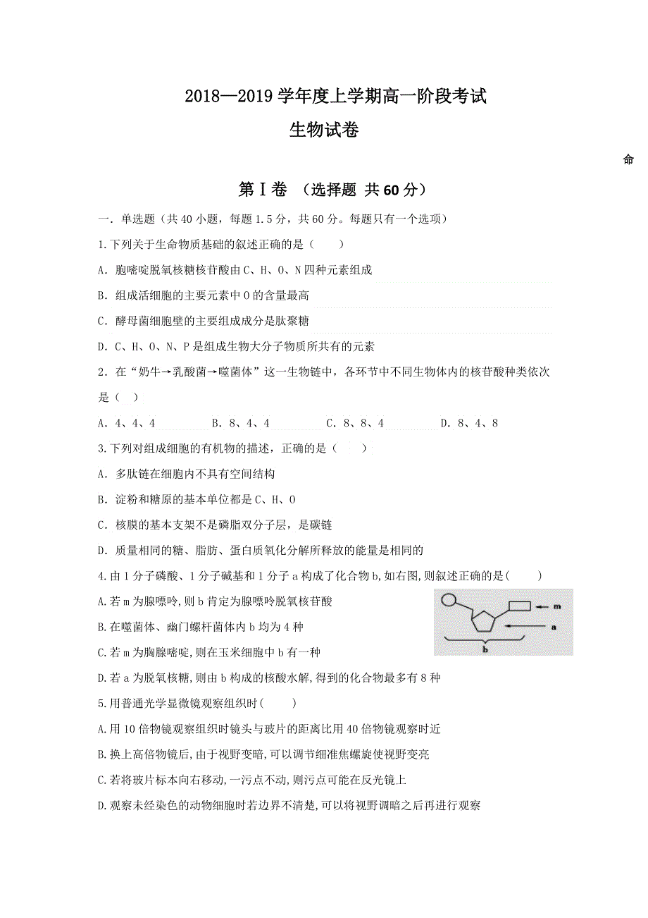 吉林省白城市第一中学2018-2019学年高一12月月考生物试题 WORD版含答案.doc_第1页