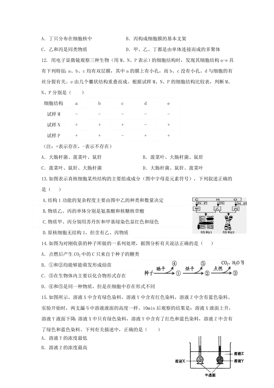 吉林省白城市第一中学2018-2019学年高一12月月考生物试题 WORD版含答案.doc_第3页