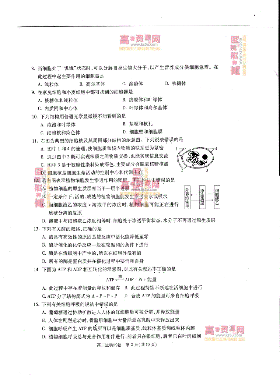 《首发》北京市朝阳区2012-2013学年高二上学期期末考试 生物 不全PDF版含答案.pdf_第2页