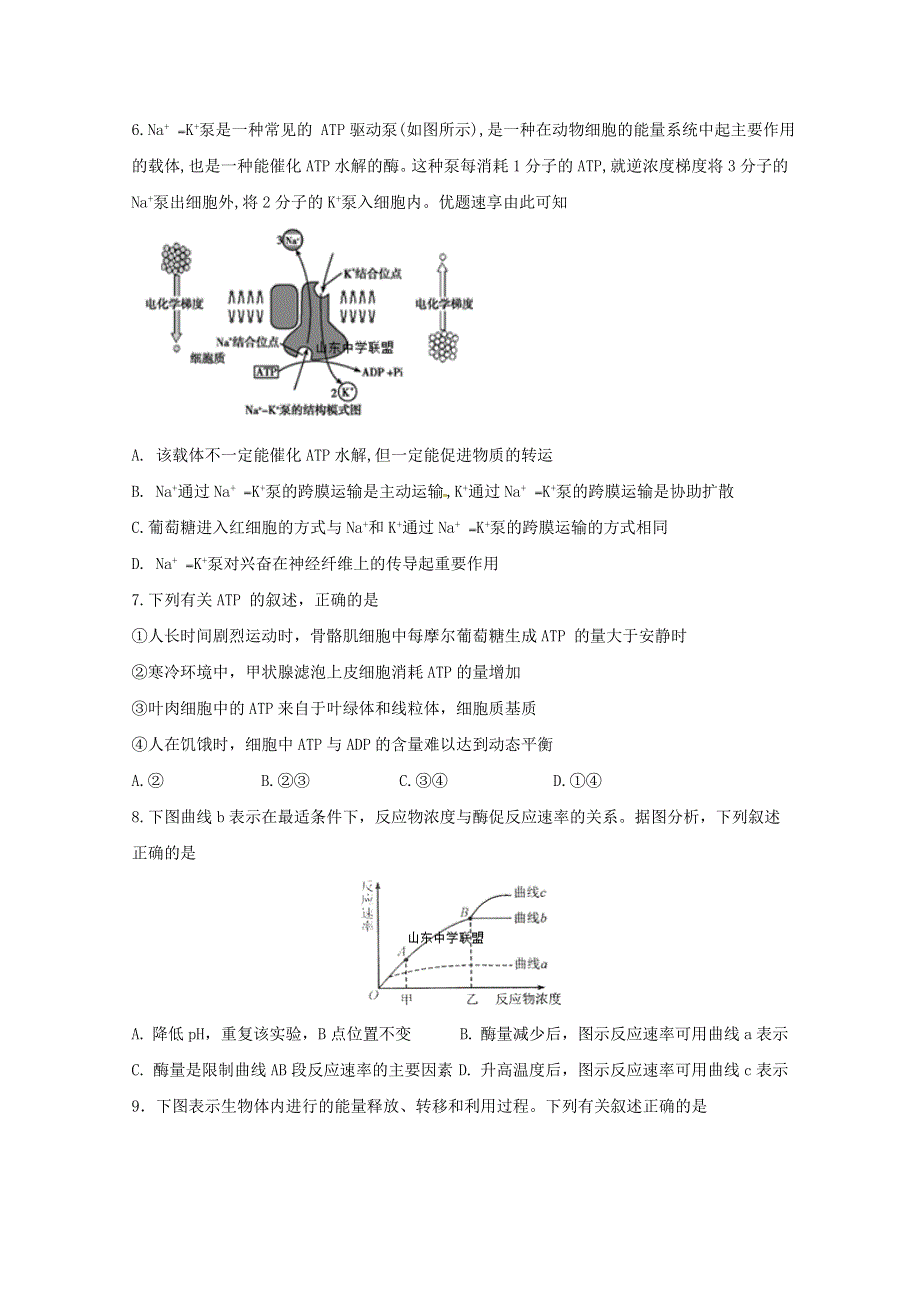 山东省聊城第一中学2020届高三生物上学期期中试题.doc_第2页