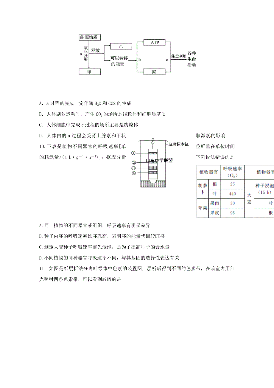 山东省聊城第一中学2020届高三生物上学期期中试题.doc_第3页