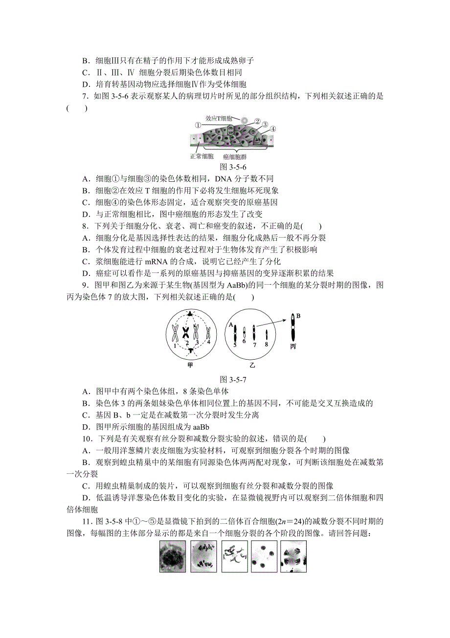 《高三复习方案》2015届高考生物二轮复习试题：专题五　遗传的细胞基础.doc_第3页