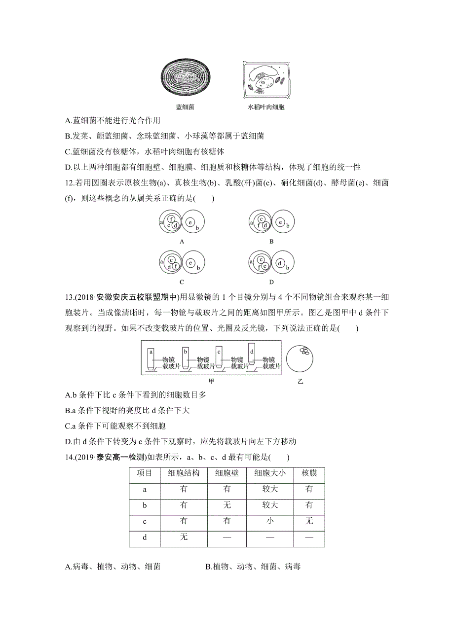 山东省聊城第二中学2019-2020学年高一上学期第二次考试（9月）生物试题 WORD版含答案.doc_第3页