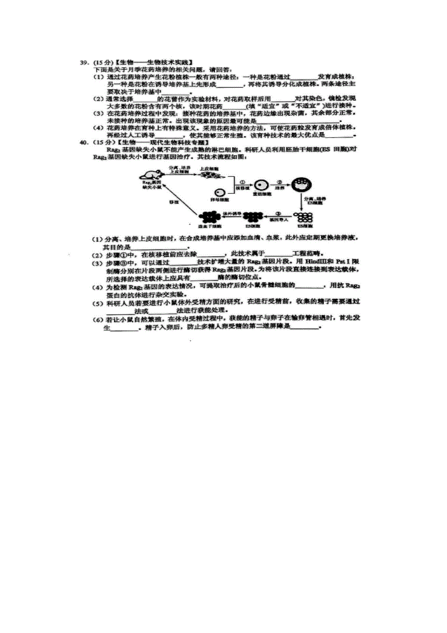 山东省青岛二中2016届高三高考仿真模拟理综生物试题 扫描版含答案.doc_第3页