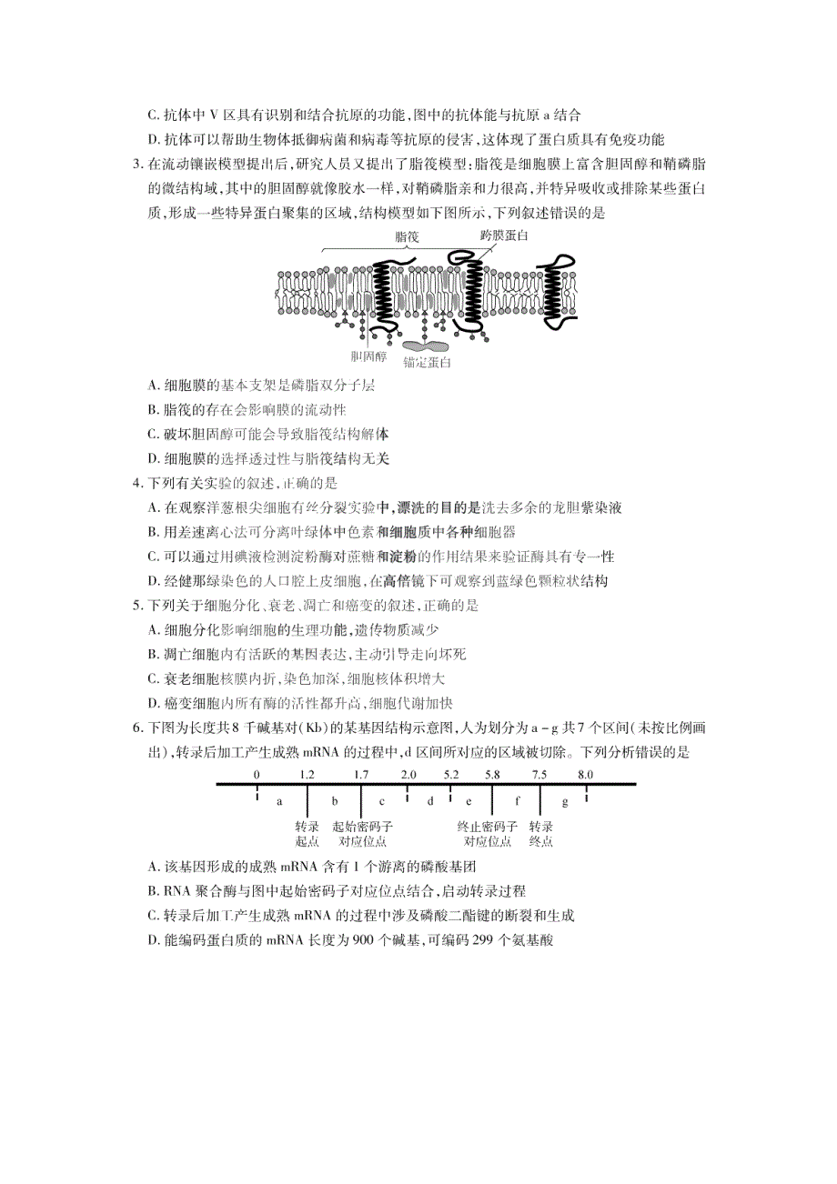 百师联盟2021届高三下学期4月二轮复习联考（一）生物试题 PDF版含答案.pdf_第2页