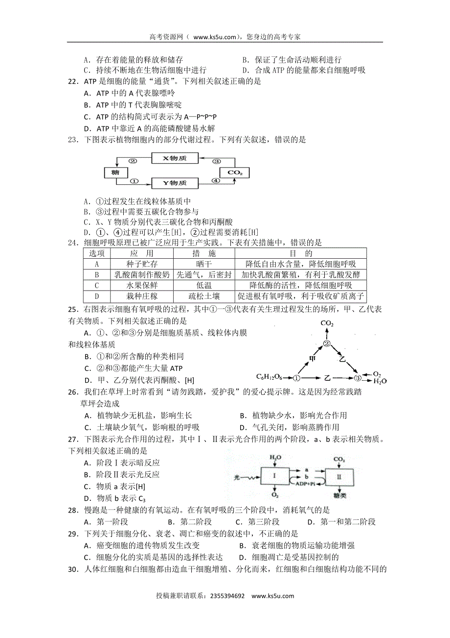 江苏省大丰市新丰中学2015-2016学年高一上学期期末考试生物试题 WORD版含答案.doc_第3页