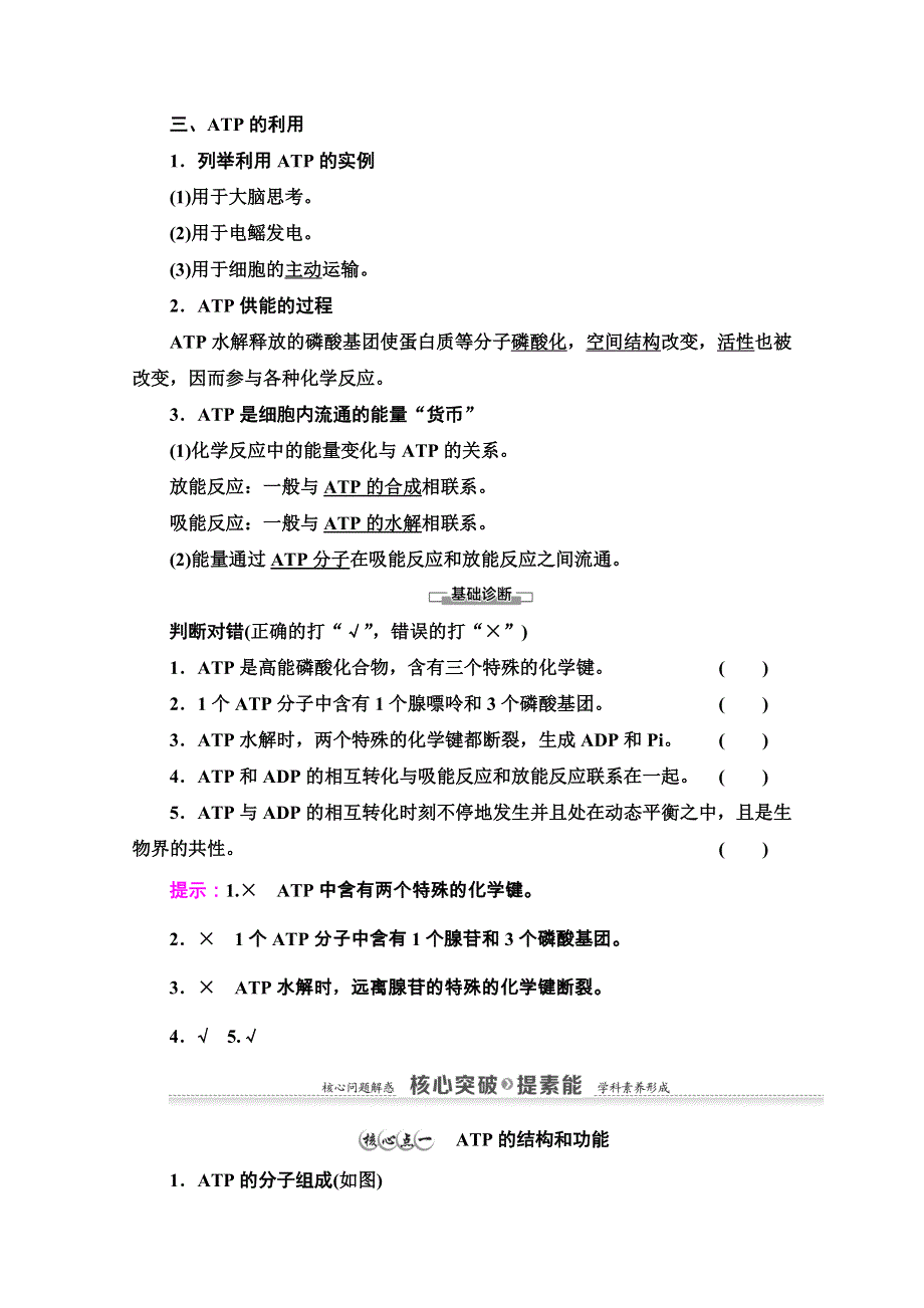 2020-2021学年生物新教材人教必修1学案：第5章 第2节　细胞的能量“货币”ATP WORD版含解析.doc_第2页