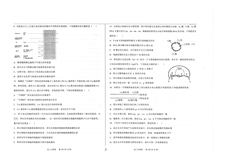 山东省青岛市2020届高三上学期期中考试生物试题 PDF版含答案.pdf_第2页