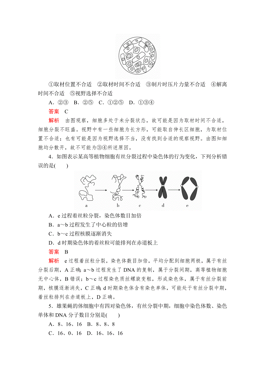 2020-2021学年生物新教材人教版必修第一册章末检测：第6章 细胞的生命历程 WORD版含解析.doc_第2页