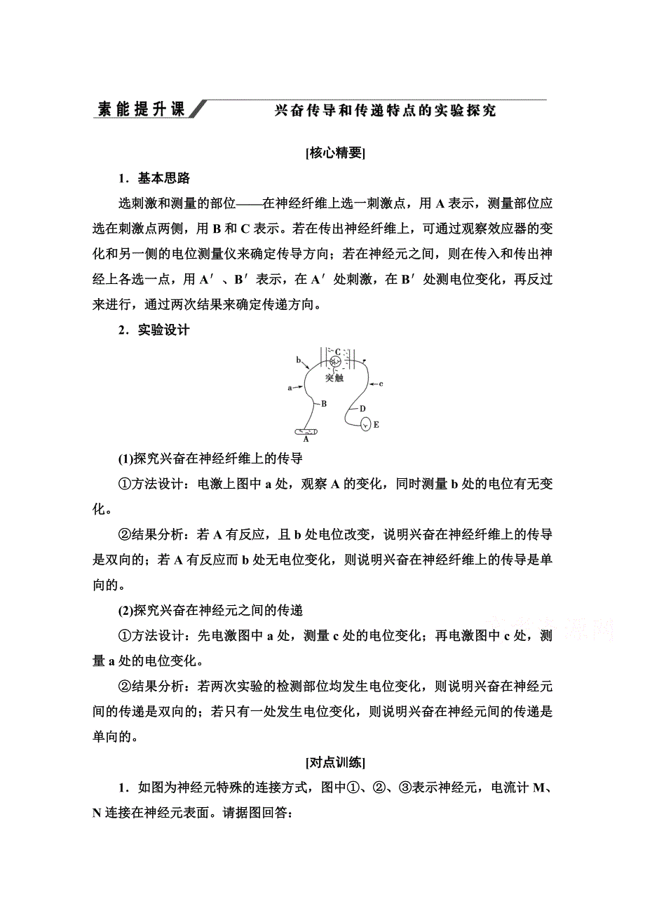 2020-2021学年生物新教材人教版选择性必修1学案：第2章 素养提升课 兴奋传导和传递特点的实验探究 WORD版含解析.doc_第1页