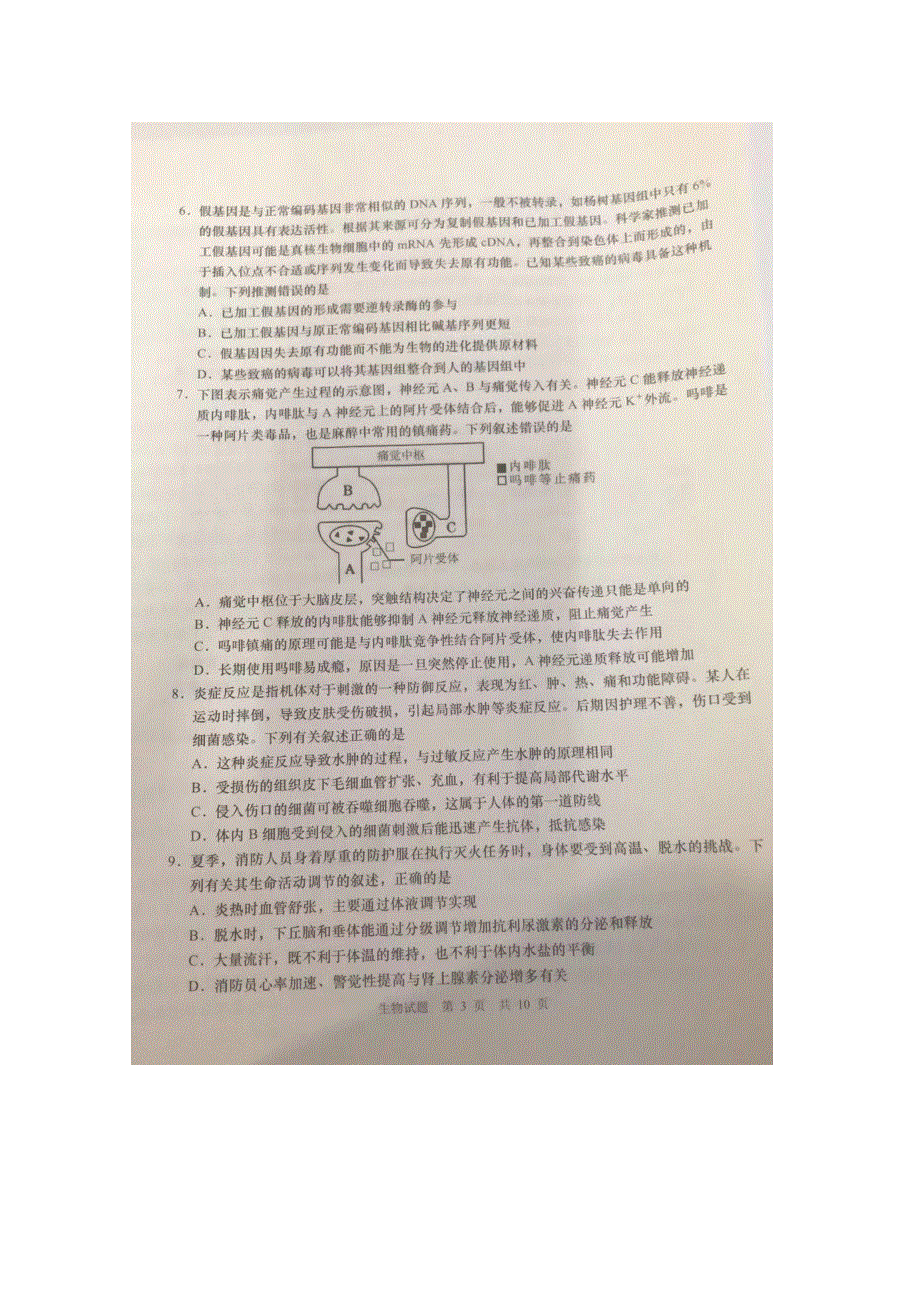 山东省青岛市2021届高三下学期5月统一模拟检测（二模）生物试题 扫描版含答案.doc_第3页