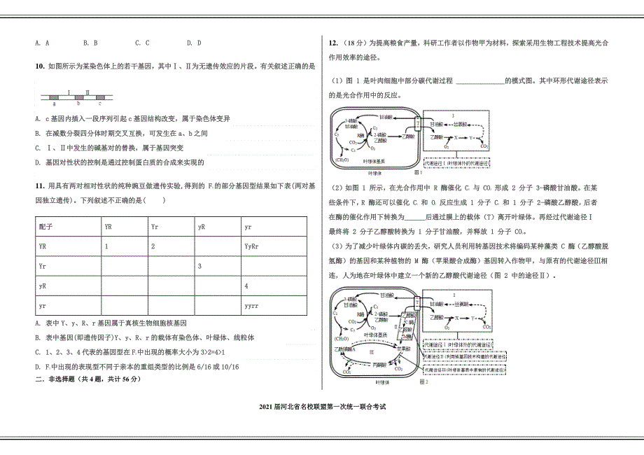 河北省名校联盟2021届高三第一次统一联合考试新高考生物试卷 PDF版含答案.pdf_第3页