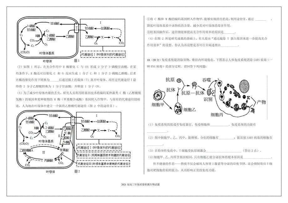 河北省十校2021届高三上学期质量检测生物试题 PDF版含答案.pdf_第3页