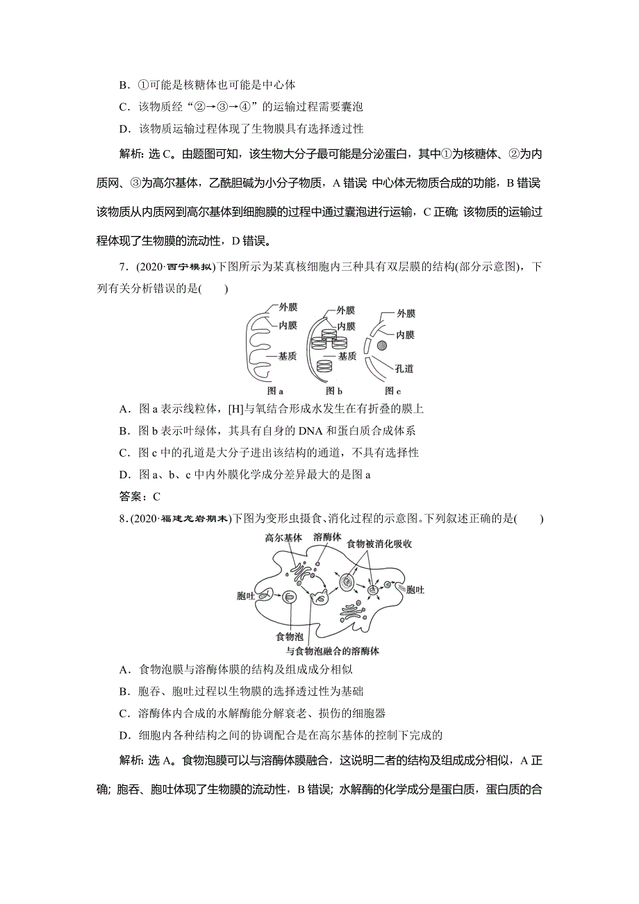 2021版新高考选考生物一轮复习通用版高效作业知能提升：单元过关检测（二） WORD版含解析.doc_第3页