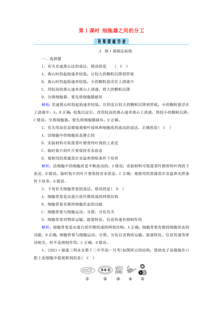 2021-2022学年新教材高中生物 第3章 细胞的基本结构 第2节 第1课时 细胞器之间的分工作业（含解析）新人教版必修1.doc_第1页