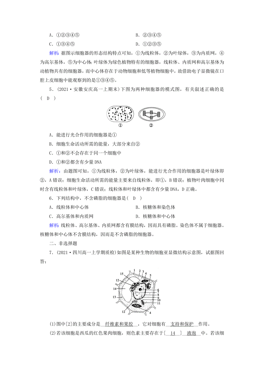 2021-2022学年新教材高中生物 第3章 细胞的基本结构 第2节 第1课时 细胞器之间的分工作业（含解析）新人教版必修1.doc_第2页