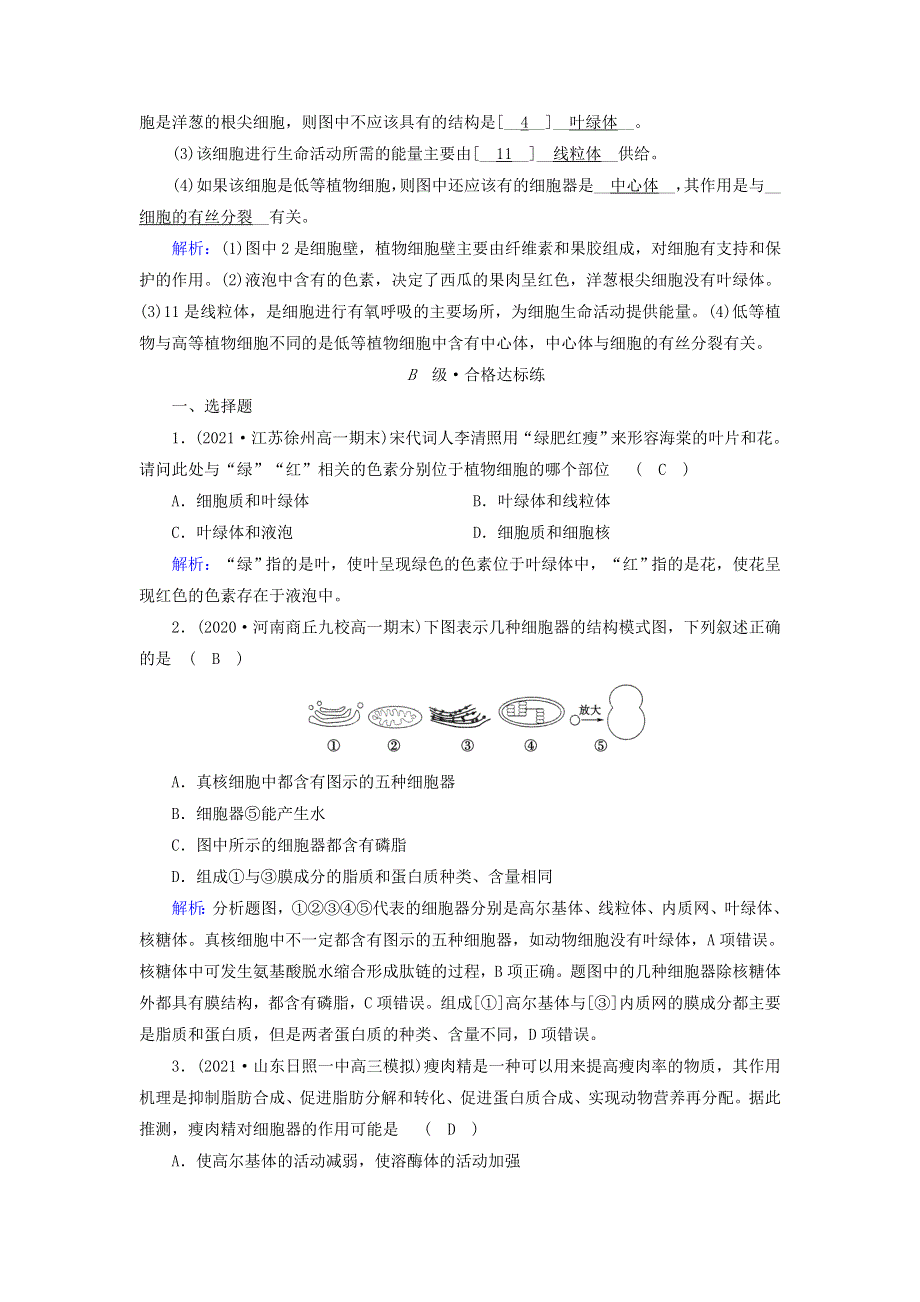 2021-2022学年新教材高中生物 第3章 细胞的基本结构 第2节 第1课时 细胞器之间的分工作业（含解析）新人教版必修1.doc_第3页