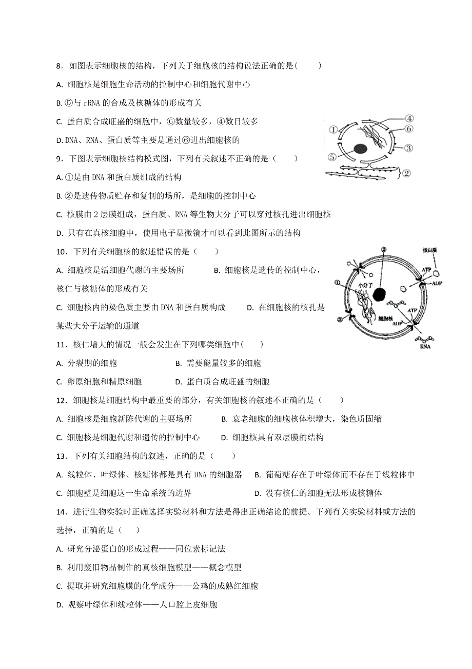 河北省定州中学2017-2018学年高一上学期期中考试生物试题 WORD版含答案.doc_第2页