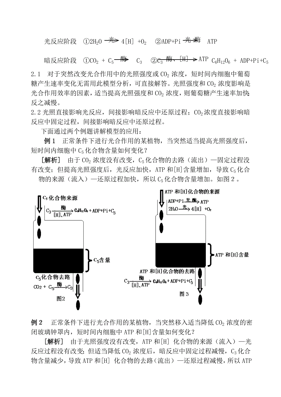 构建物理模型解答光合作用中的“突发事件”.doc_第2页