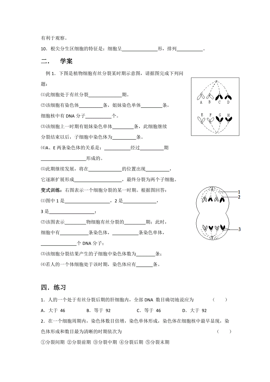 2014年高考生物复习精华学案：《细胞增殖》（二）.doc_第2页