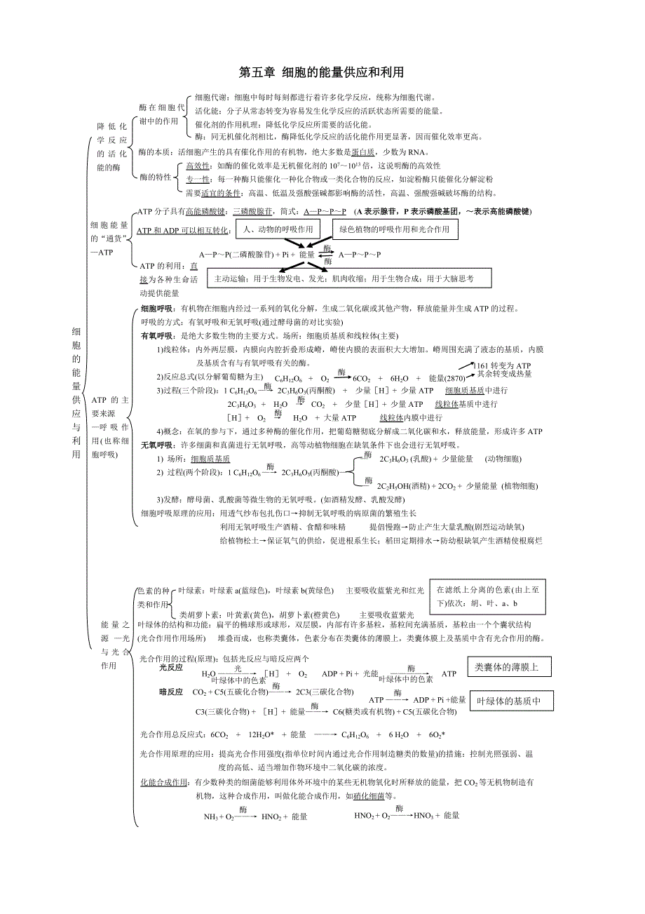 2014年高考生物复习素材：知识点归纳 必修1（2）.doc_第1页