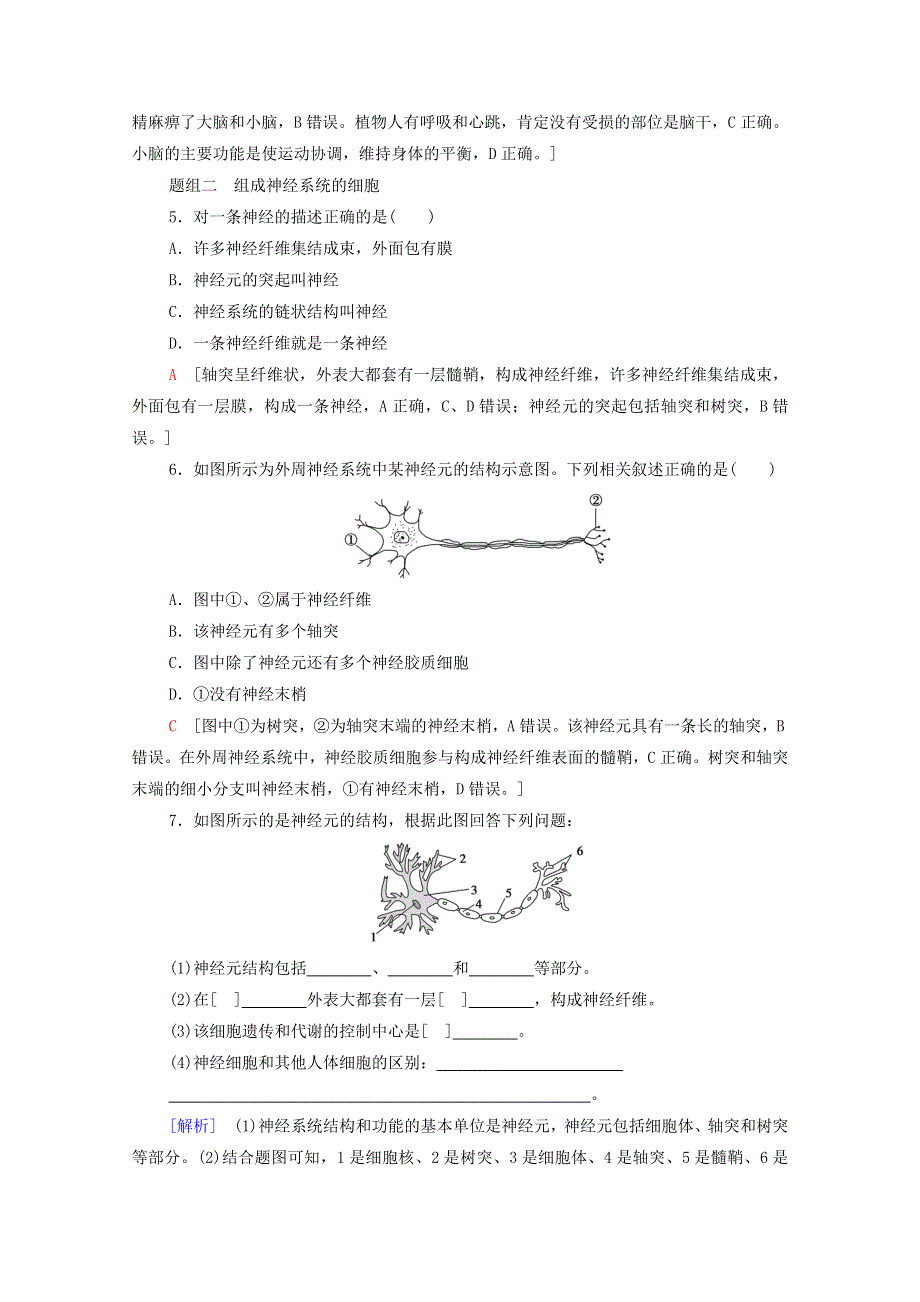 2021-2022学年新教材高中生物 第2章 神经调节 第1节 神经调节的结构基础课后练习（含解析）新人教版选择性必修1.doc_第2页