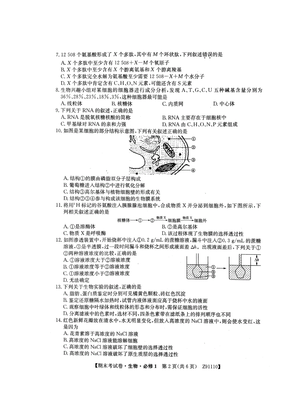 山西省大同市灵丘县豪洋中学2018-2019学年高一上学期期末考试生物试题 扫描版含答案.doc_第2页