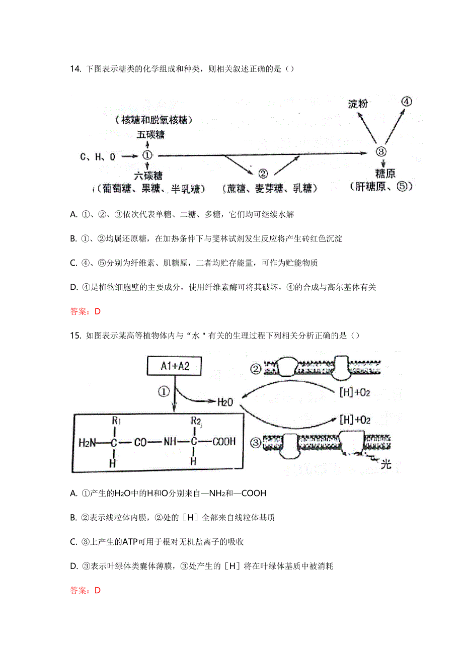 山西省太原市2017届高三上学期阶段性测评（期中）生物试题 WORD版含答案.doc_第3页