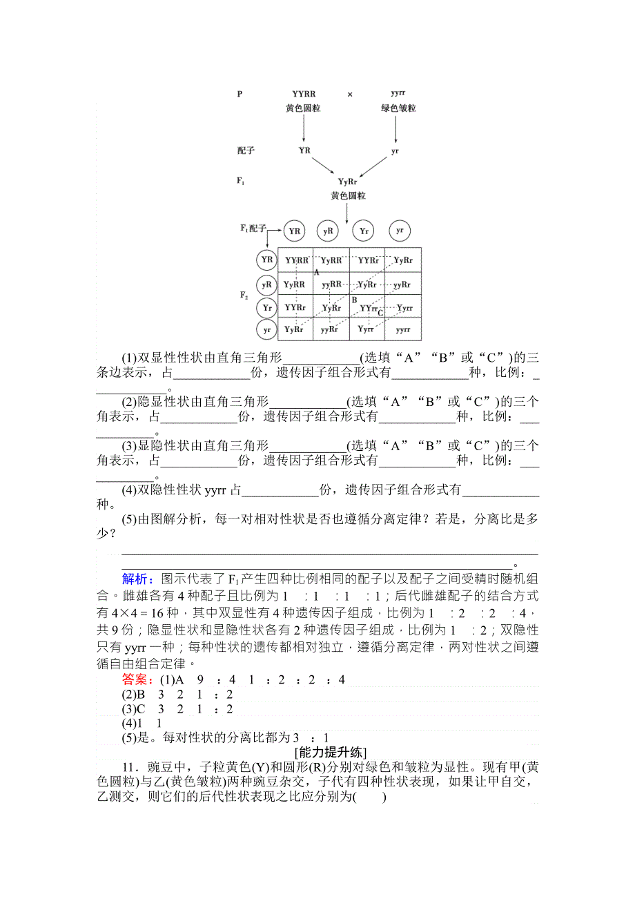 2017-2018学年高中生物人教版必修二基础巩固练：1-2-1 两对相对性状的杂交实验过程、解释和验证 WORD版含解析.doc_第3页