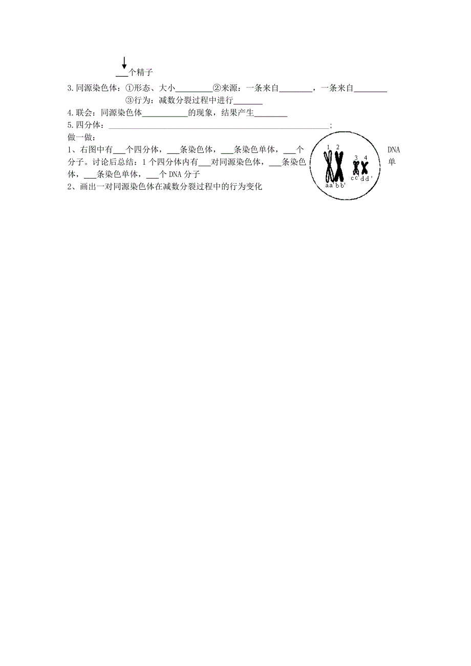 2020-2021学年高一生物人教版必修2教学教案：第二章第1节减数分裂和受精作用 一　减数分裂 （5） WORD版含答案.doc_第3页