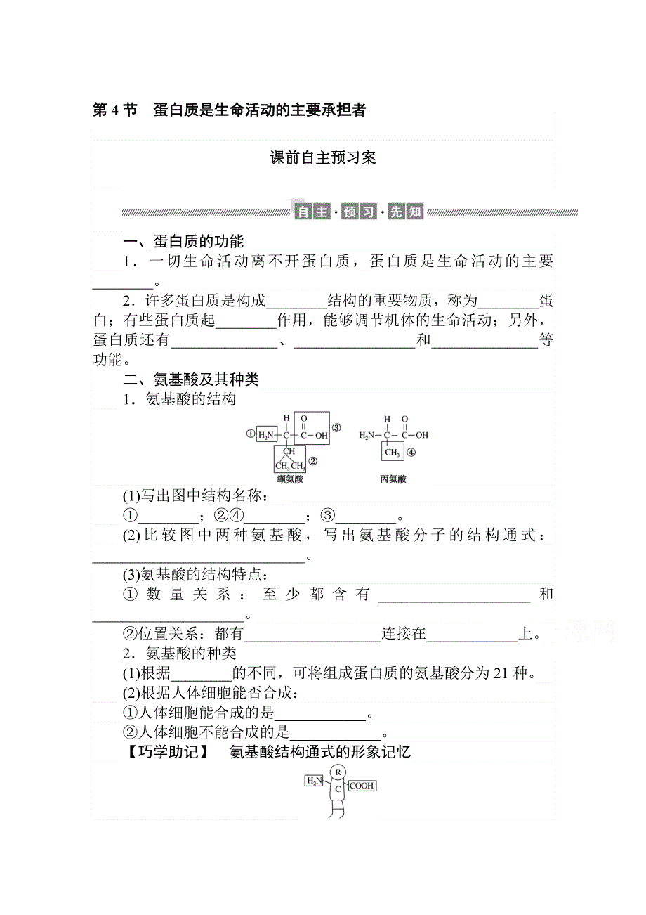 2020-2021学年高一生物新教材人教版必修1学案：第2章 第4节　蛋白质是生命活动的主要承担者 .doc_第1页