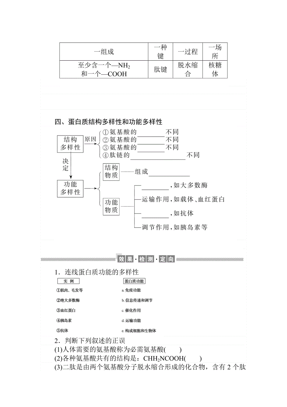 2020-2021学年高一生物新教材人教版必修1学案：第2章 第4节　蛋白质是生命活动的主要承担者 .doc_第3页