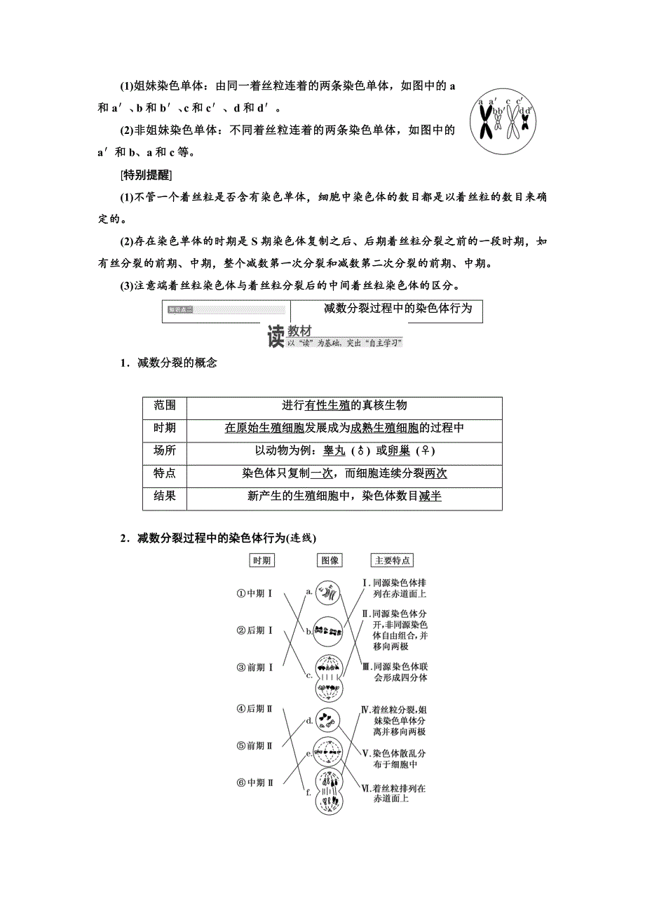 2017-2018学年高中生物浙科版必修2教学案：第二章 第一节 减数分裂中的染色体行为 WORD版含答案.doc_第3页