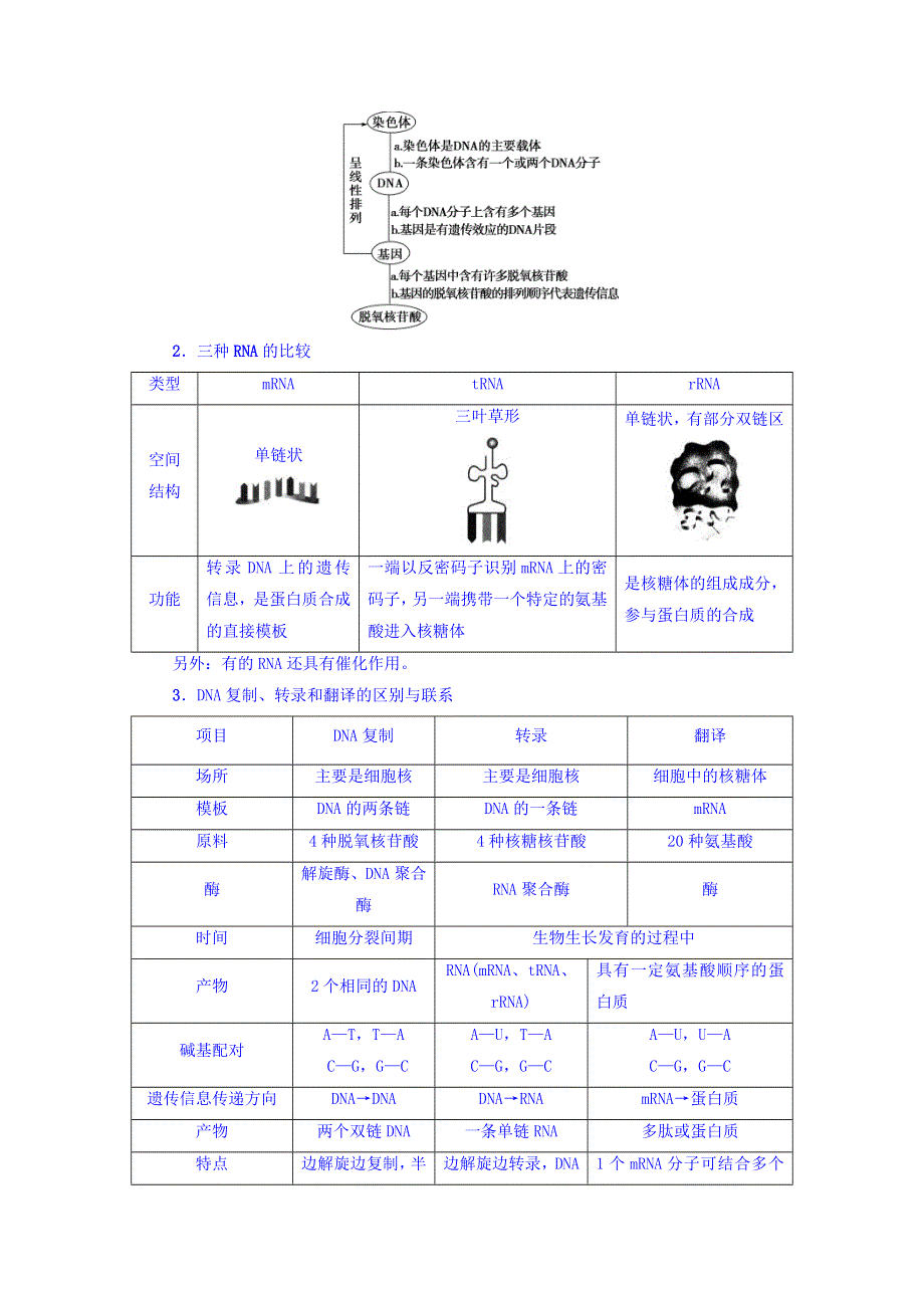 2017-2018学年高中生物（苏教版必修二）教师用书：第4章 第3节 基因控制蛋白质的合成 WORD版含答案.doc_第3页