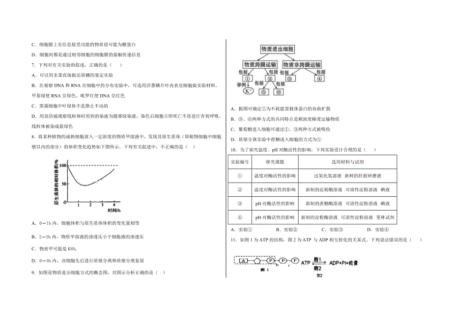 河北省尚义县第一中学2021届高三第一学期期中考试生物试卷 WORD版含答案.doc_第2页