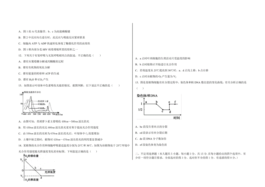 河北省尚义县第一中学2021届高三第一学期期中考试生物试卷 WORD版含答案.doc_第3页