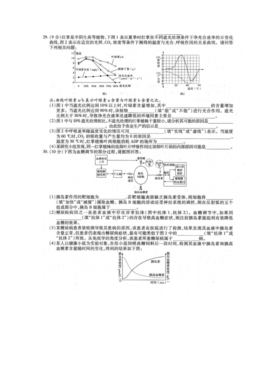 河南省豫东、豫北十所2014届高三阶段性测试（五） 理综生物试题 清晰扫描版含答案.doc_第3页