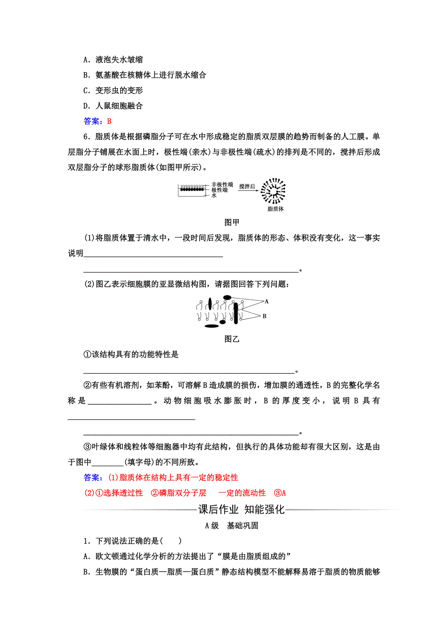 2017-2018学年高中生物人教版（必修一）检测：第4章第2节 生物膜的流动镶嵌模型 WORD版含答案.doc_第2页