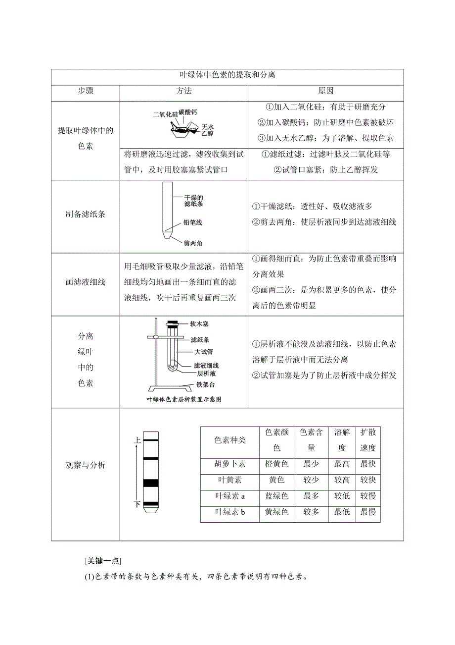 2017-2018学年高中生物北师大版必修一教学案：第5章 第3节 第1课时 叶绿体中的色素 WORD版含答案.doc_第3页