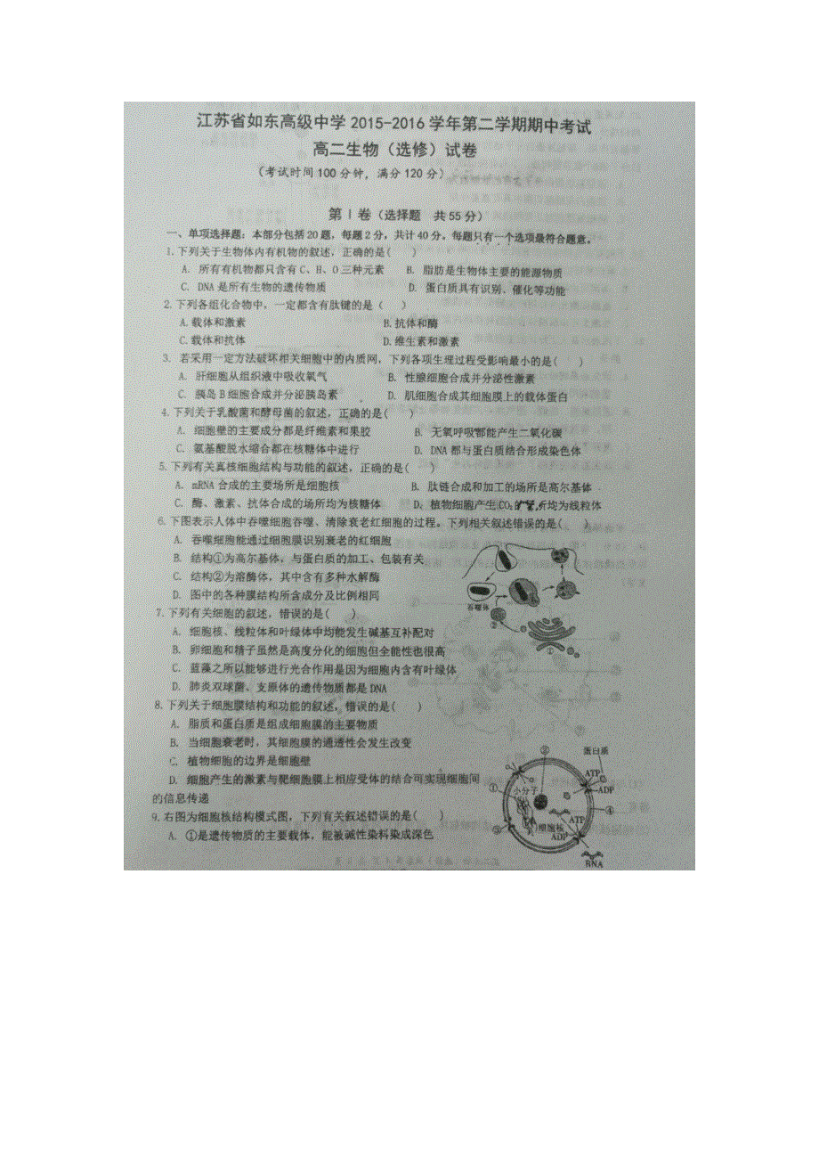 江苏省如东高级中学2015-2016学年高二下学期期中考试生物（选修）试题 扫描版含答案.doc_第1页