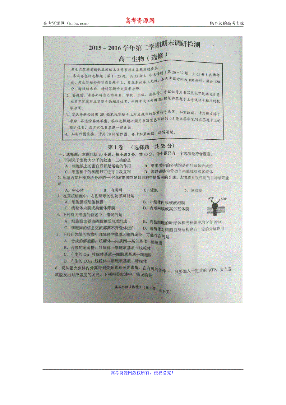 江苏省如东高级中学2015-2016学年高二下学期期末考试生物（选修）试题 扫描版含答案.doc_第1页