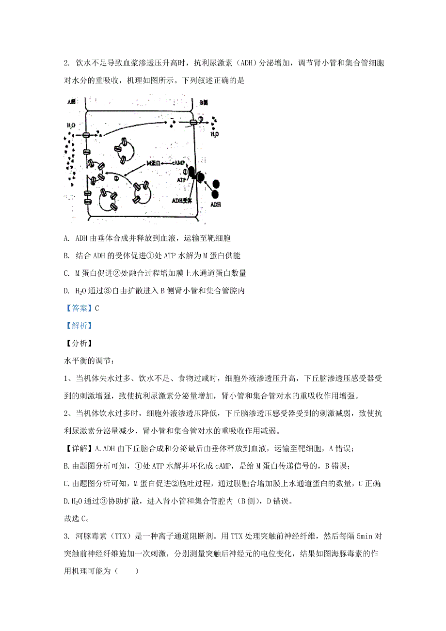 山东省青岛市五十八中2020-2021学年高二生物上学期期中检测试题（含解析）.doc_第2页