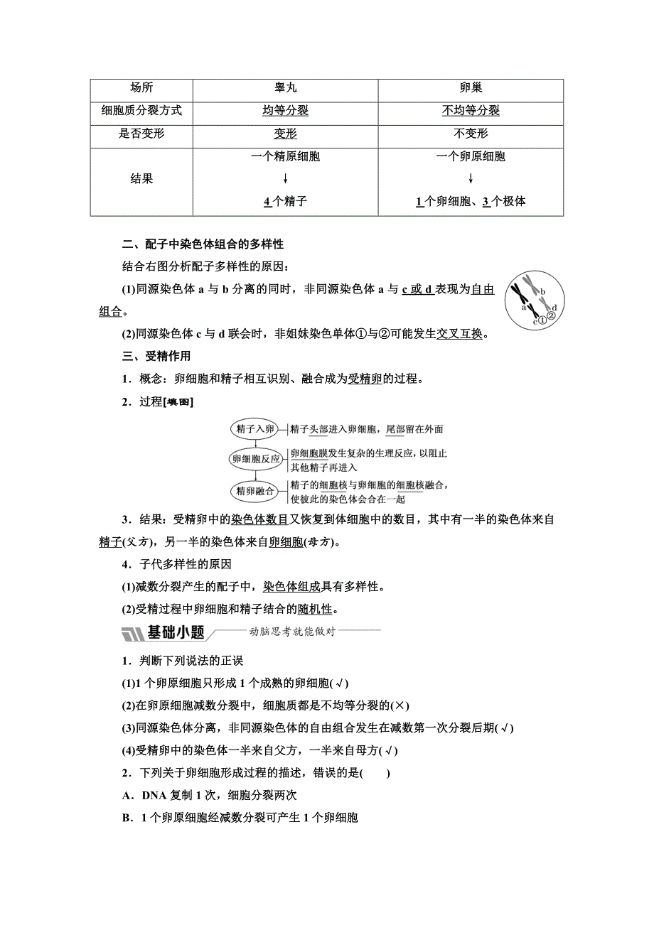 2017-2018学年高中人教版生物必修二教学案：第二章 第1节 第2课时　卵细胞的形成过程和受精作用 WORD版含答案.doc_第2页